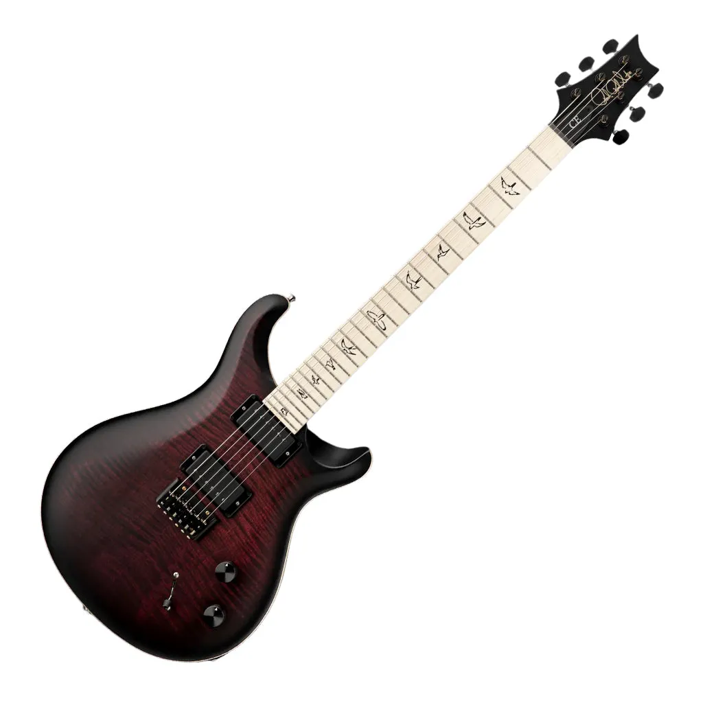 PRS Dustie Waring Hardtail - Waring Burst