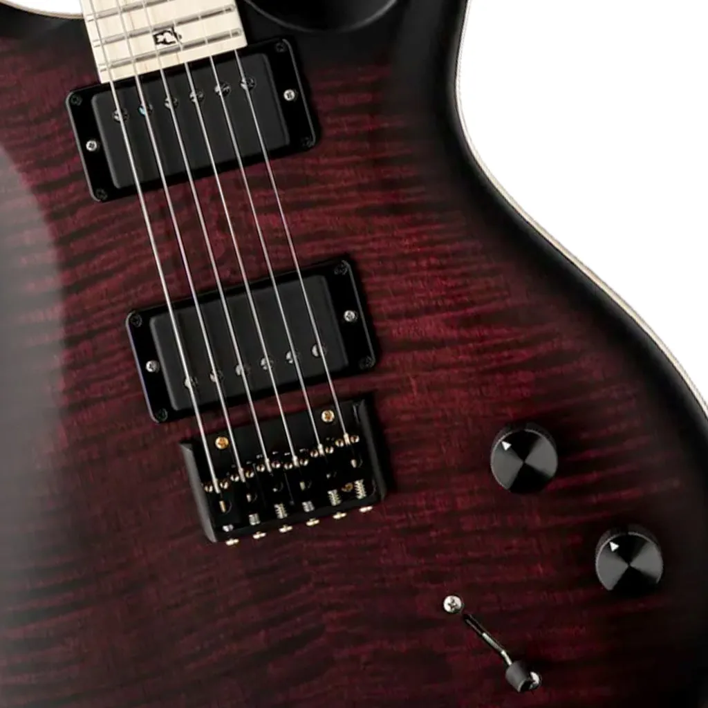 PRS Dustie Waring Hardtail - Waring Burst