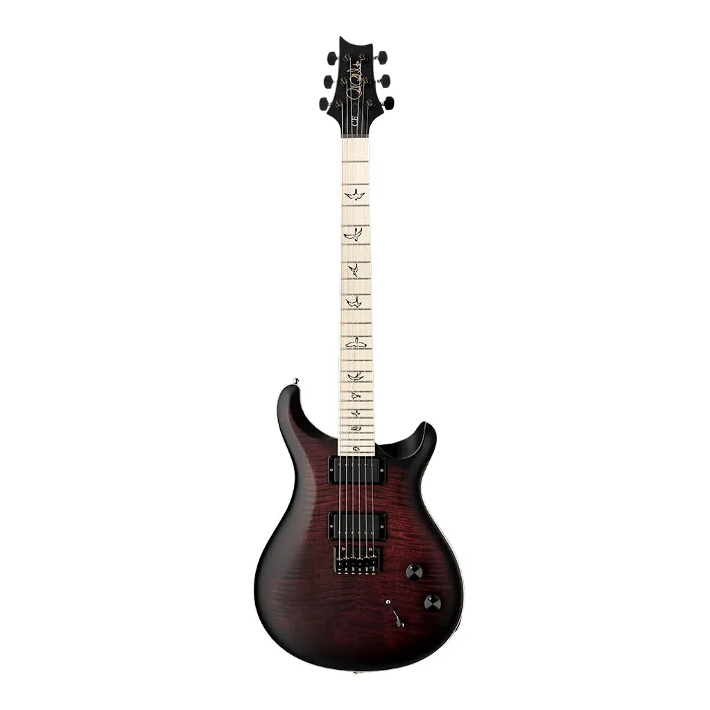 PRS Dustie Waring Hardtail - Waring Burst