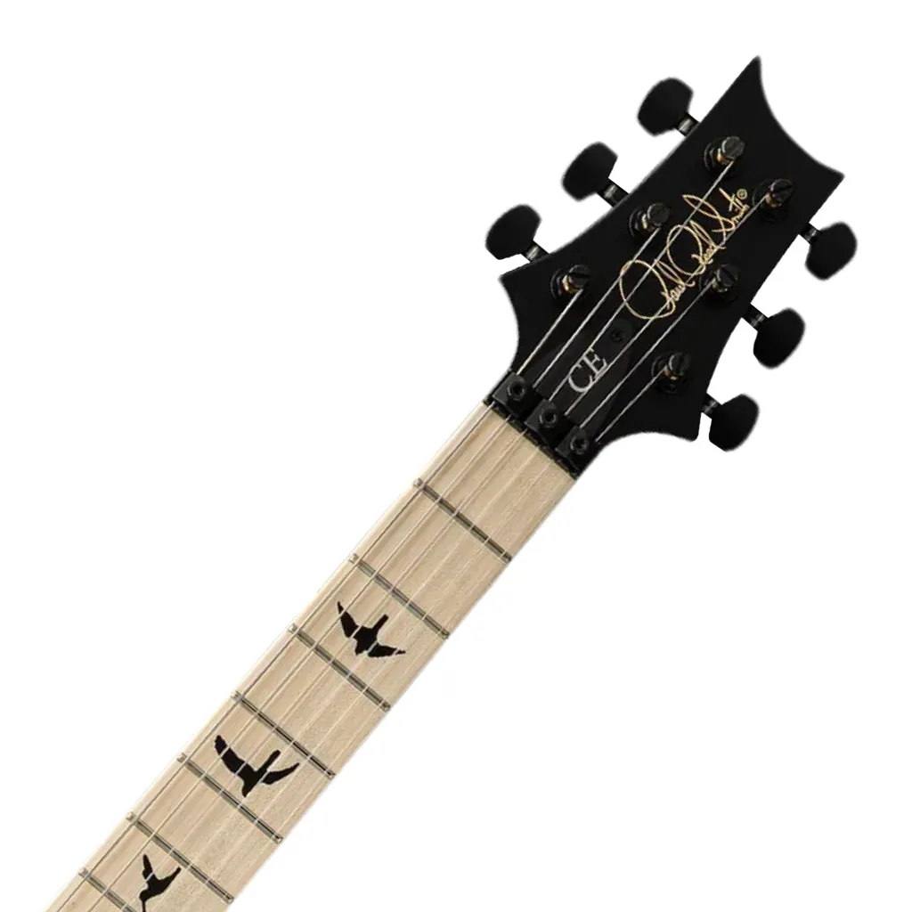 PRS Dustie Warring CE24 Floyd Waring Wraparound Burst YD