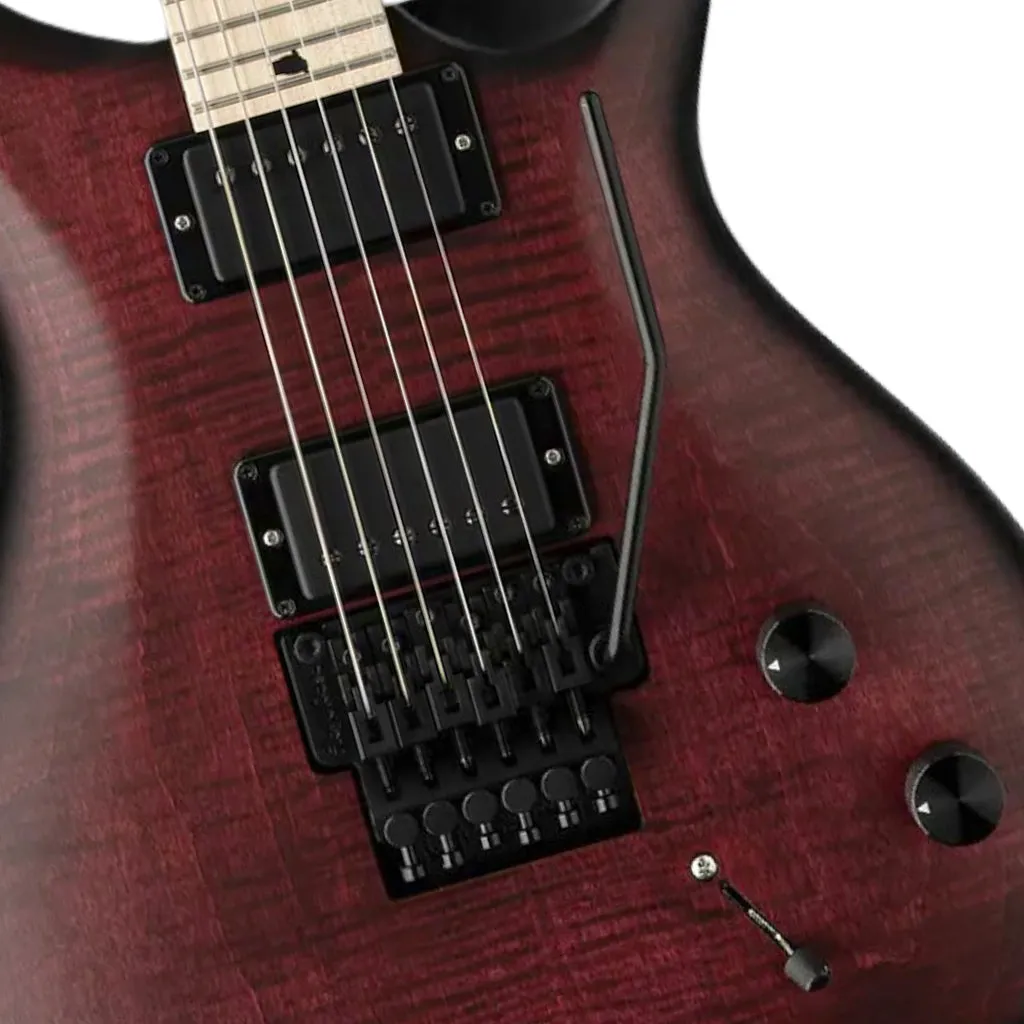 PRS Dustie Warring CE24 Floyd Waring Wraparound Burst YD