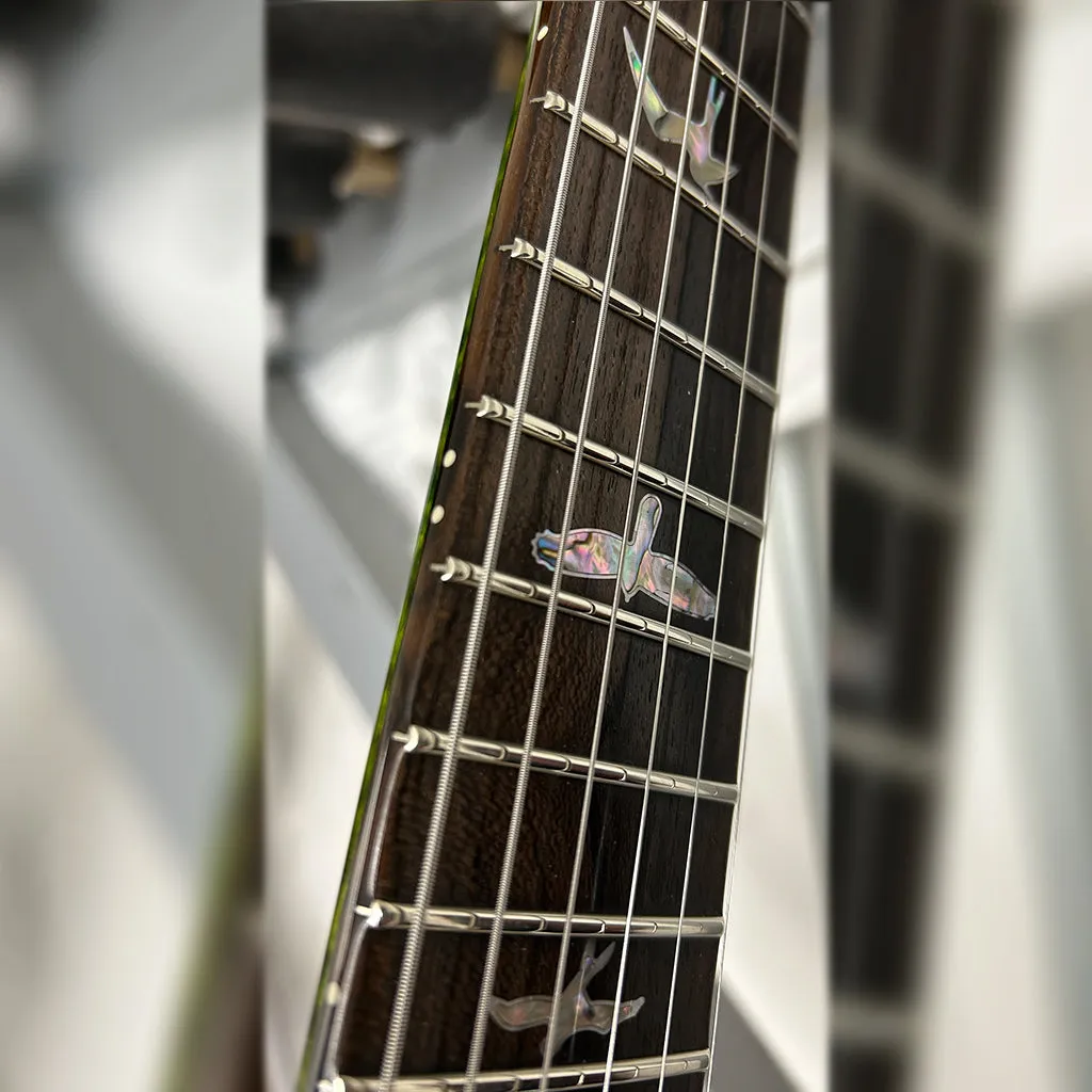 PRS Private Stock 24/08 Semi-Hollow Rainforest Glow