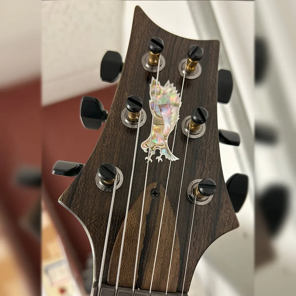 PRS Private Stock 24/08 Semi-Hollow Rainforest Glow