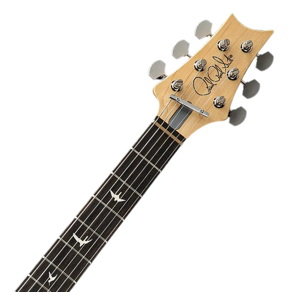 PRS Silver Sky Limited Edition - Dead Spec